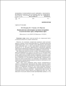 Взаимодействие пейсмекерных активностей крайних отделов маточных труб у небеременных крыс