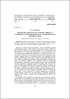 Воздействие сверхмалых доз холиновых эфиров N- замещённых-α, β-дегидроаминокислот на субклинический гипотиреоз у крыс