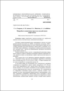 Микробиота кишечника крыс под воздействием амфетамина