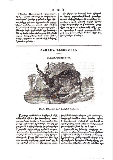 Աքսիս կենդանին կամ Գանգեսի եղջերուն