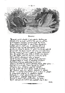 Կարապ