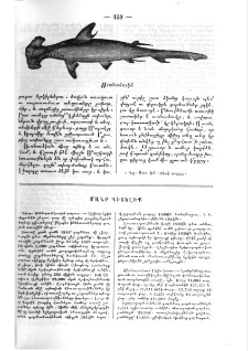 Մանր գիտելիք