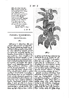 Թէյ