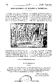 Յայտարարութիւններ
