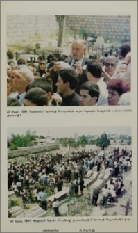 Նկարներ