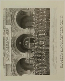 Նկարներ