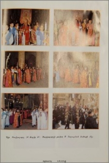 Նկարներ