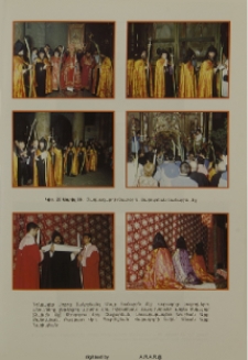 Նկարներ