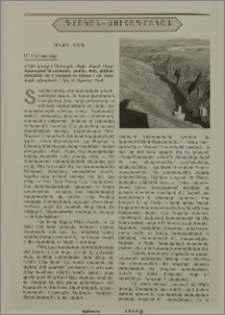 Անիի մէջ
