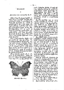 Միջատք