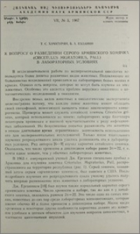 К вопросу о разведении серого армянского хомячка (Cricetulus migratorius, Pall) в лабораторных условиях