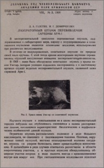 Лабораторный штамм перевиваемой саркомы АРМ-1