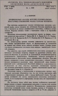 Кровеносные сосуды ворсин синовиальных влагалищ сухожилий мышц голени человека