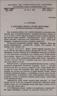 К анатомии скелета трахеи некоторых млекопитающих и человека