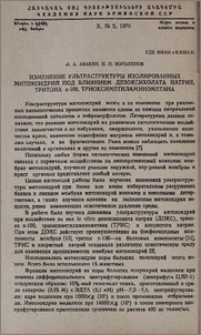 Изменение ультраструктуры изолированных митохондрий под влиянием дезоксихолата натрия, тритона х-100, триоксиметиламинометана