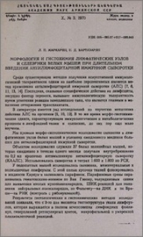 Морфология и гистохимия лимфатических узлов и селезенки белых мышей при длительном введении антилимфоцитарной иммунной сыворотки