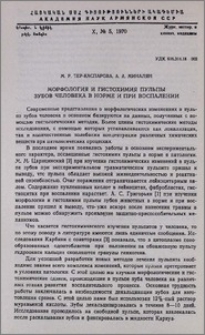 Морфология и гистохимия пульпы зубов человека в норме и при воспалении