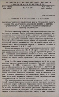 Морфологические изменения коры головного мозга собак при умирании в условиях ожога и острой кровопотери и в ранний восстановительный период оживления