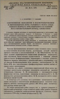 Соотношение окисления и фосфорилирования в митохондриях коры головного мозга собак разного возраста при умирании и в ранний восстановительный период оживления