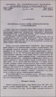 Поражение сердца у крыс, инфицированных А-стрептококком