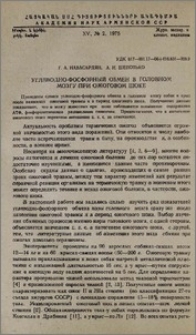 Углеводно-фосфорный обмен в головном мозгу при ожоговом шоке