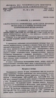 Ультраструктура кровеносных капилляров яичников белых крыс в условиях хронической хлоропреновой интоксикации