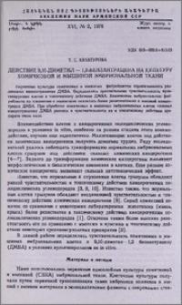 Действие 9,10-диметил-1,2-бензантрацена на культуру хомячковой и мышиной эмбриональной ткани