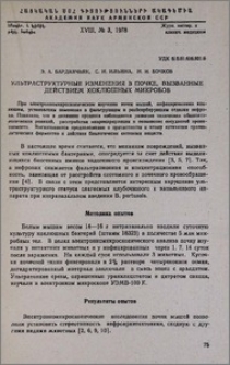 Ультраструктурные изменения в почке, вызванные действием коклюшных микробов