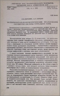 Экспериментально-морфологические исследования сосудистой системы зрительной коры
