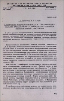 Электронно-микроскопическая и гистофункциональная характеристика лимфоцитов селезенки при антигенной стимуляции