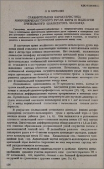 Сравнительная характеристика микроциркуляторного русла коры и подкорки зрительного анализатора человека