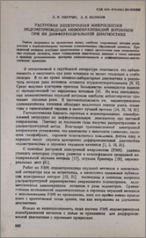 Растровая электронная микроскопия эндометриоидных новообразований яичников при их дифференциальной диагностике