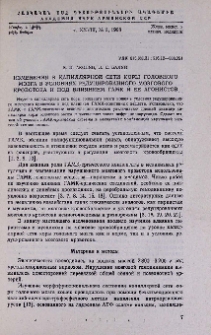Изменения в капиллярной сети коры головного мозга в условиях редуцированного мозгового кровотока и под влиянием ГАМК и ее агонистов