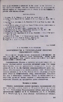 Микролимфоток в периневральной оболочке седалищного нерва