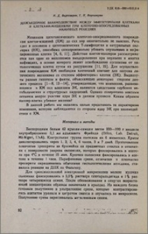 Межъядерное взаимодействие между эффекторными клетками и клетками мишенями при клеточно-опосредованных иммуных реакциях