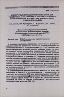 Структурные особенности опухолевой ДНК у животных с экспериментальными опухолями при сочетанном воздействии дексаметазона и циклофосфамида