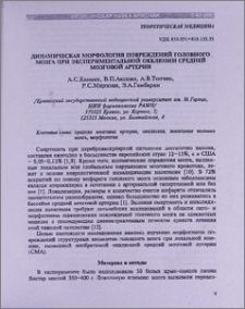 Динамическая морфология повреждений головного мозга при экспериментальной окклюзии средней мозговой артерии