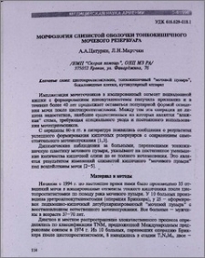 Морфология слизистой оболочки тонкокишечного мочевого резервуара