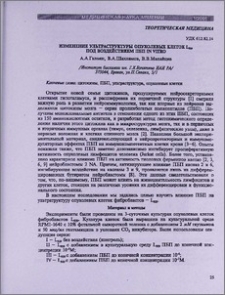 Изменение ультраструктуры опухолевых клеток L929 под воздействием ПБП IN VITRO