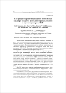 Ультраструктурные повреждения почек белых крыс при синдроме длительного раздавливания и протекторная роль ПБП
