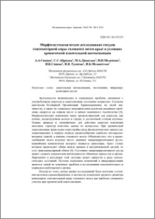 Морфогистохимическое исследование сосудов сенсомоторной коры головного мозга крыс в условиях хронической алкогольной интоксикации