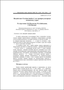 Воздействие Cicorium intubus L. на терморегуляторные механизмы у крыс