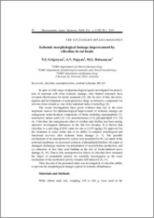 Ischemic morphological damage improvement by citicoline in rat brain